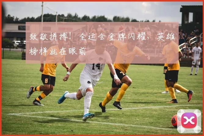 致敬拼搏！全运会金牌闪耀，英雄榜样就在眼前