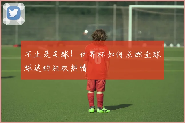 不止是足球！世界杯如何点燃全球球迷的狂欢热情