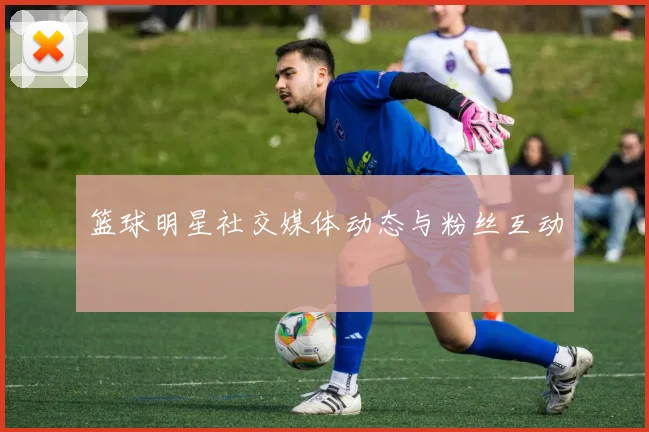 篮球明星社交媒体动态与粉丝互动
